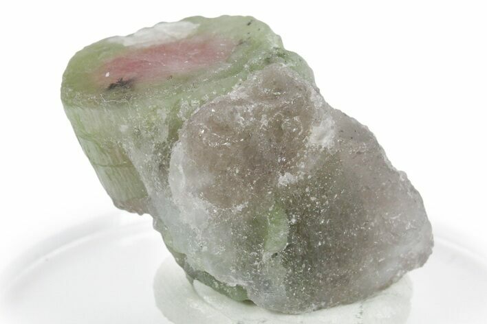 Bicolor Elbaite Watermelon Tourmaline - Afghanistan #354927